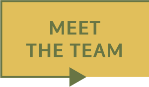 Meet the team